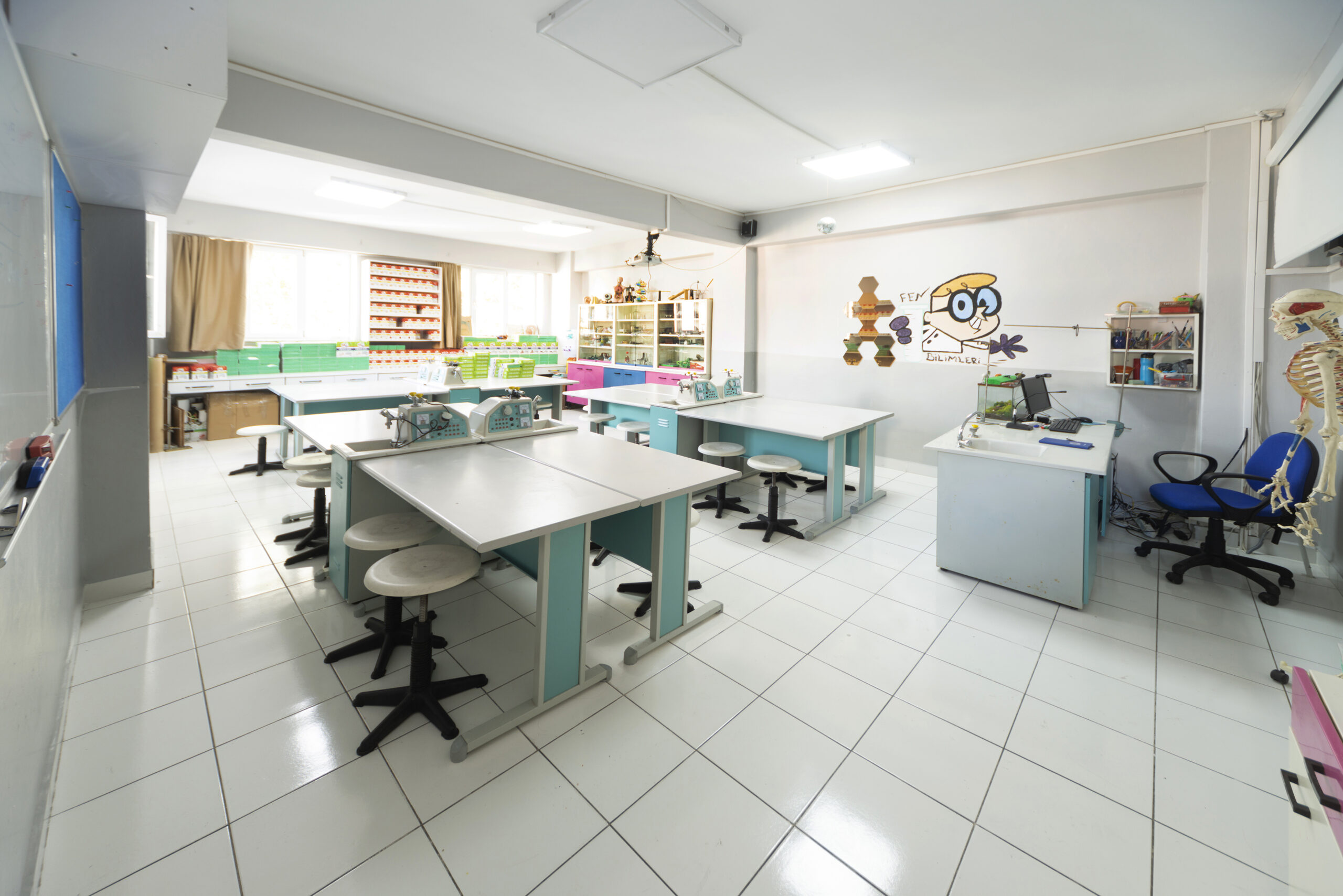 FEN BİLİMLERİ6