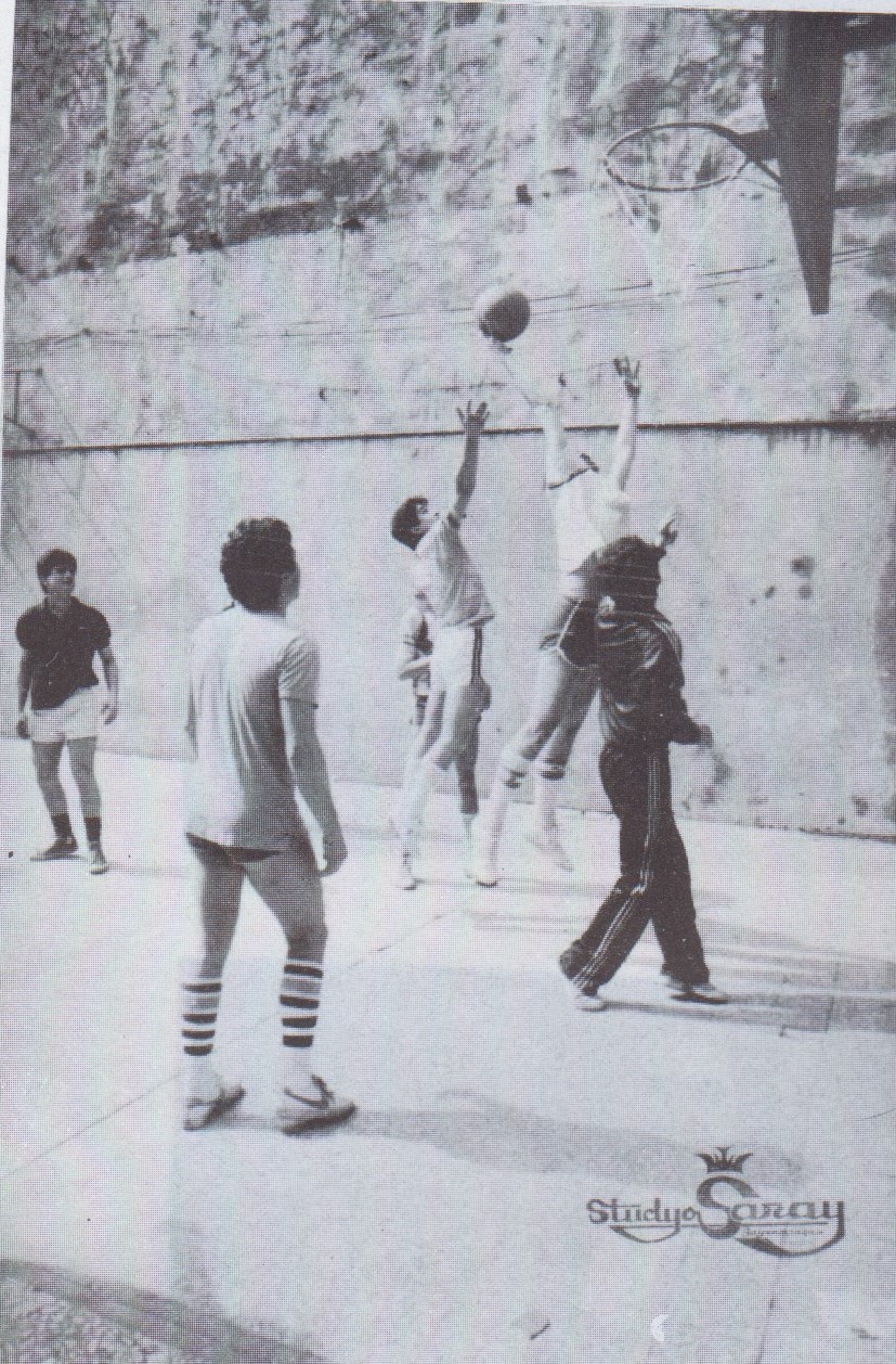 Tarama_20210301 33(1)